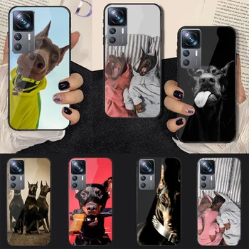 Pes Doberman Kul Jazavičar Kaljeno Steklo Telefon Primeru Kritje Za Xiaomi Mi Poco X F 8 11 12 13 T 3 4 GT Pro Lite Ultra 5G